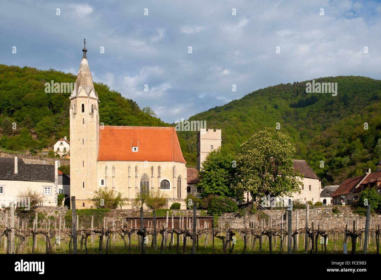 Schwallenbach auf der Donau, UNESCO-Welterbe Kulturlandschaft Wachau, Niederösterreich, Österreich Stockfoto