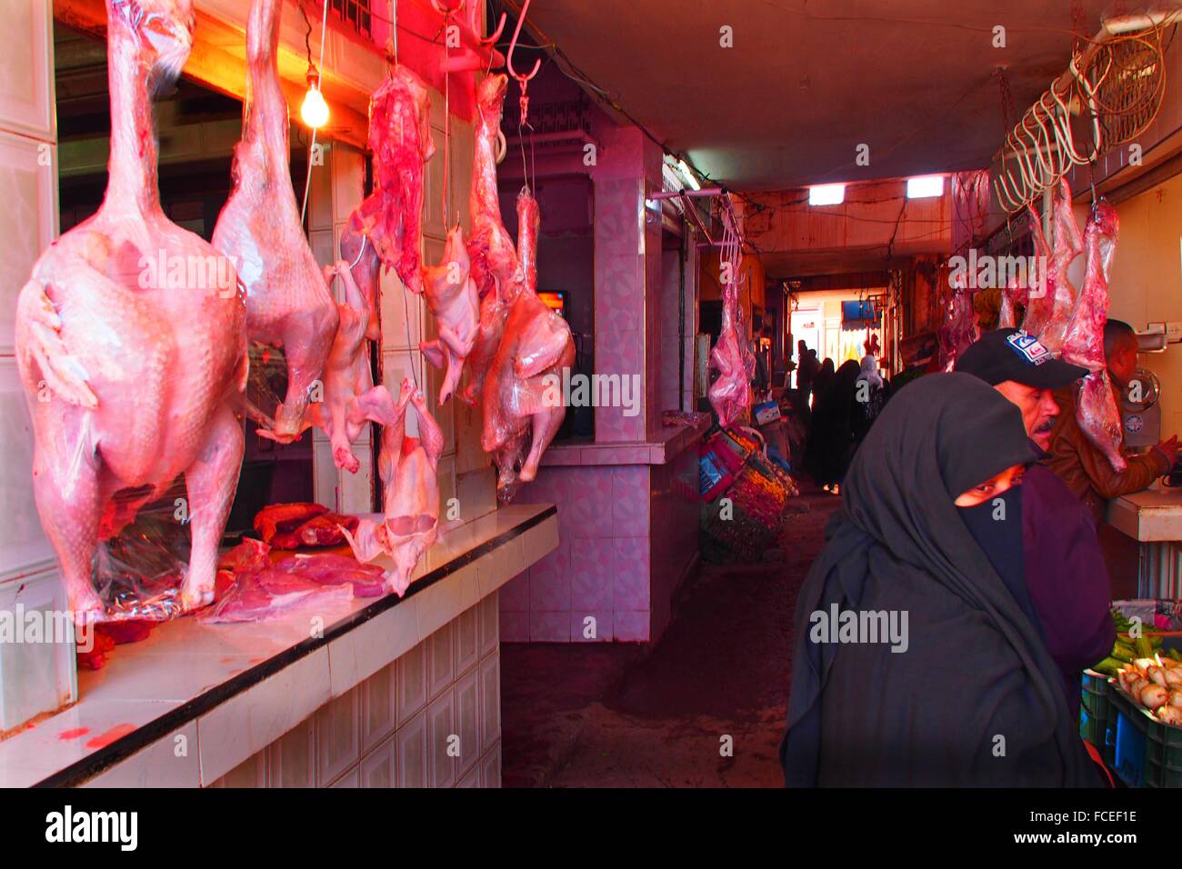 Erfoud Markt, mit 14 kg. Puten und verschleierte Frau, Tafilalet, Marokko Stockfoto