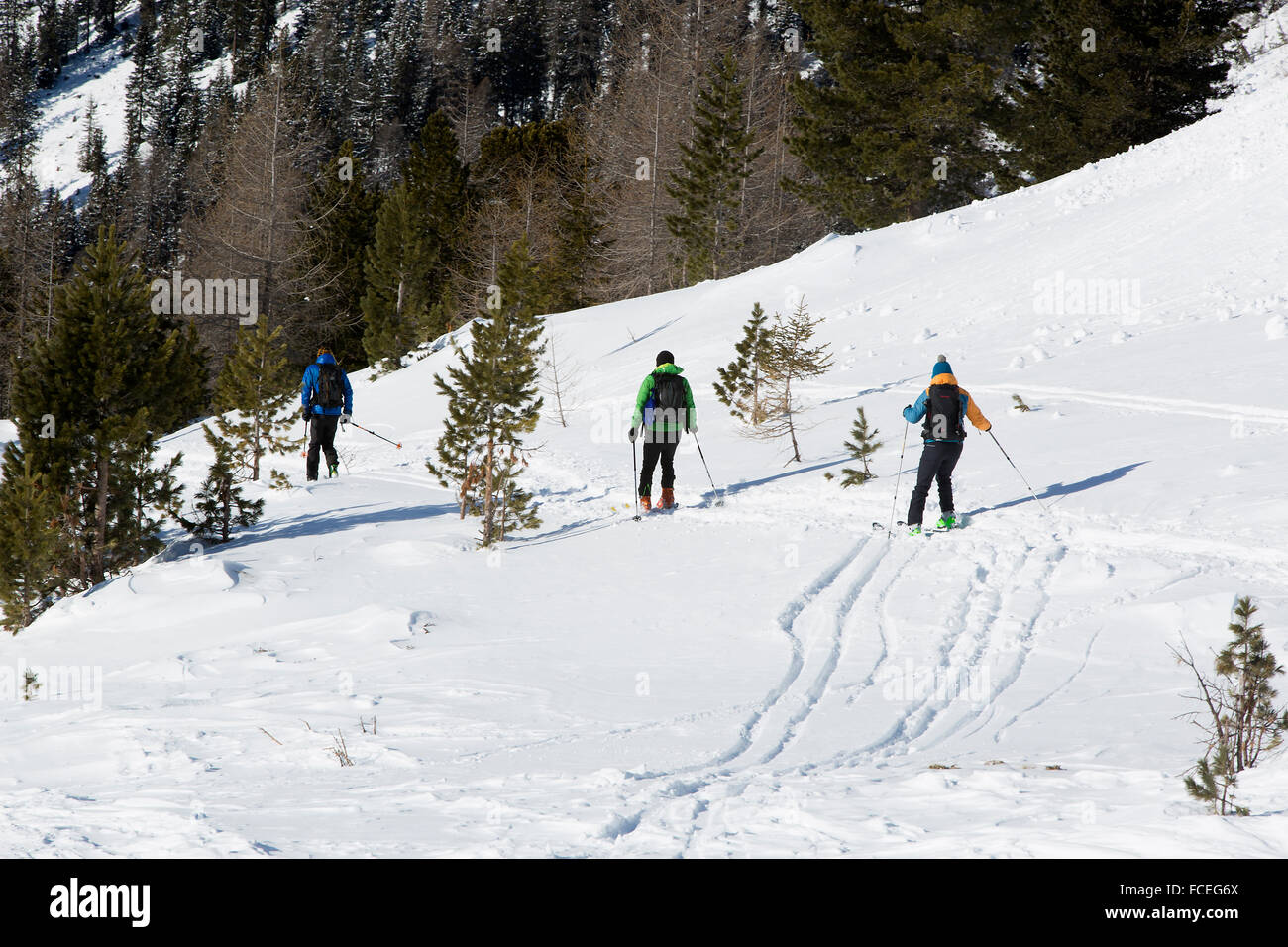 Skifahrer auf der Piste in Winterlandschaft, Österreich Stockfoto