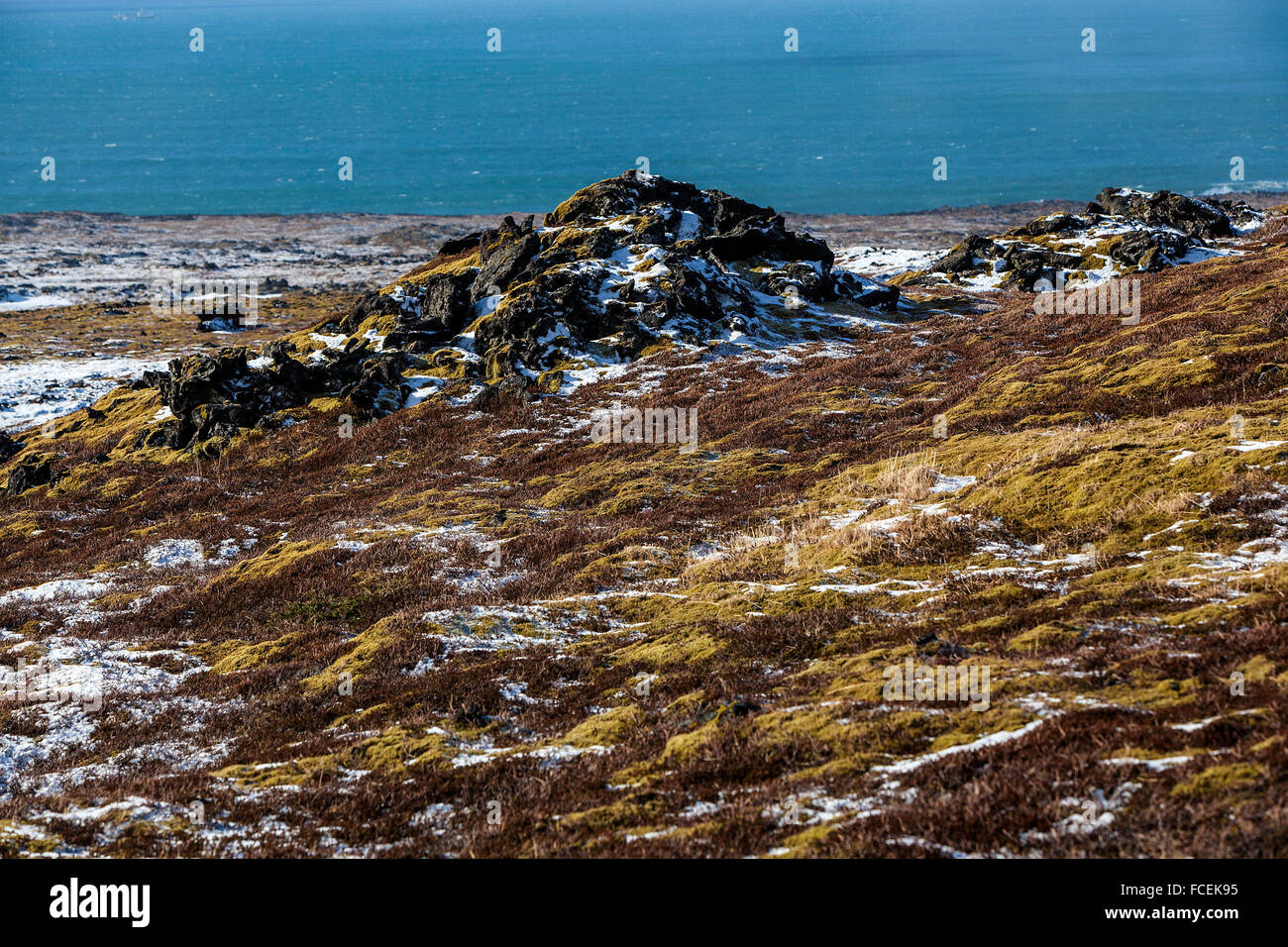 Weitwinkel-Objektiv zu erfassen, der wachsende Moos in Island, Halbinsel Snaefellsness Stockfoto