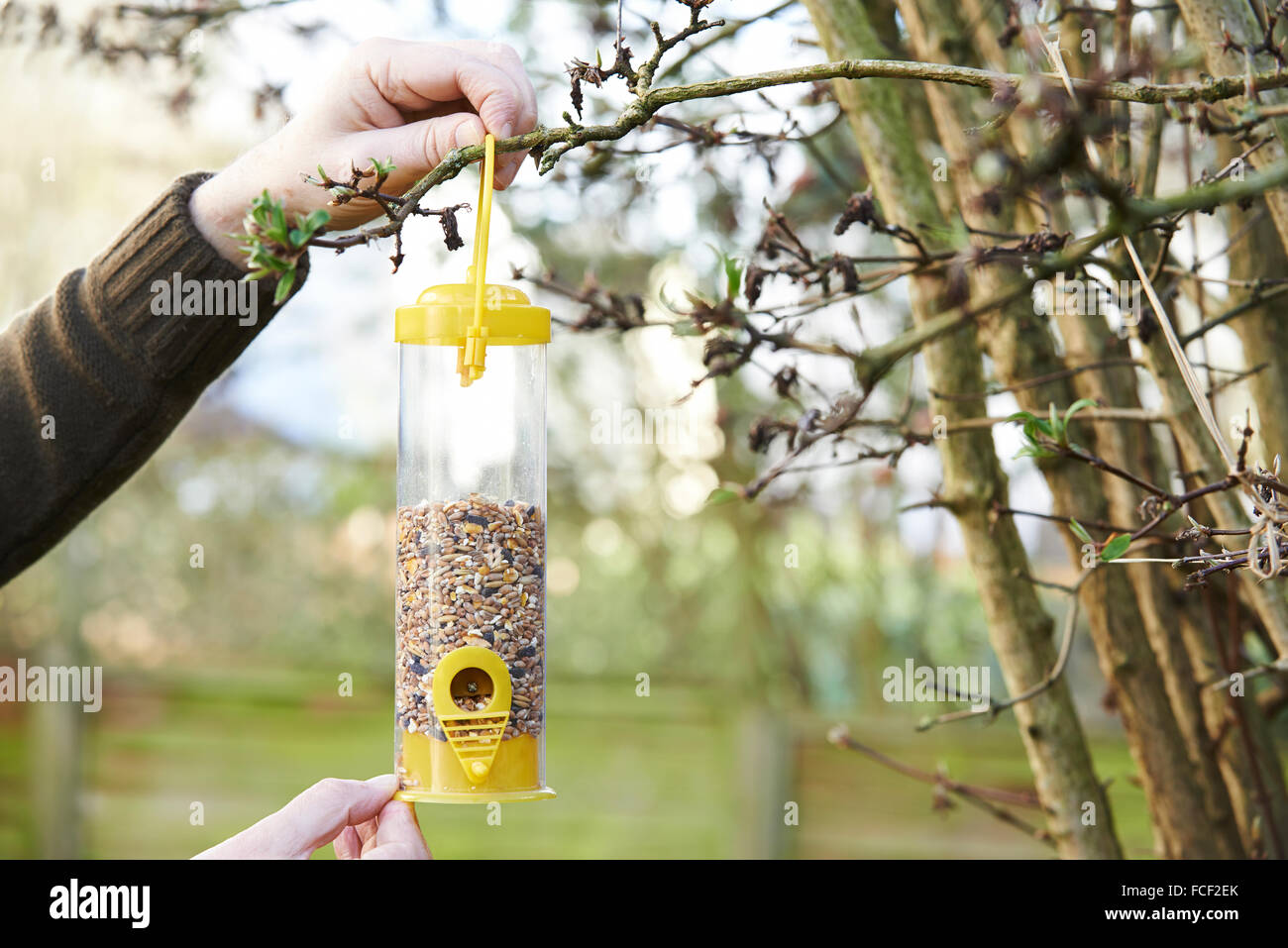 Mann, hängende Futterhäuschen für Vögel im Garten Stockfoto