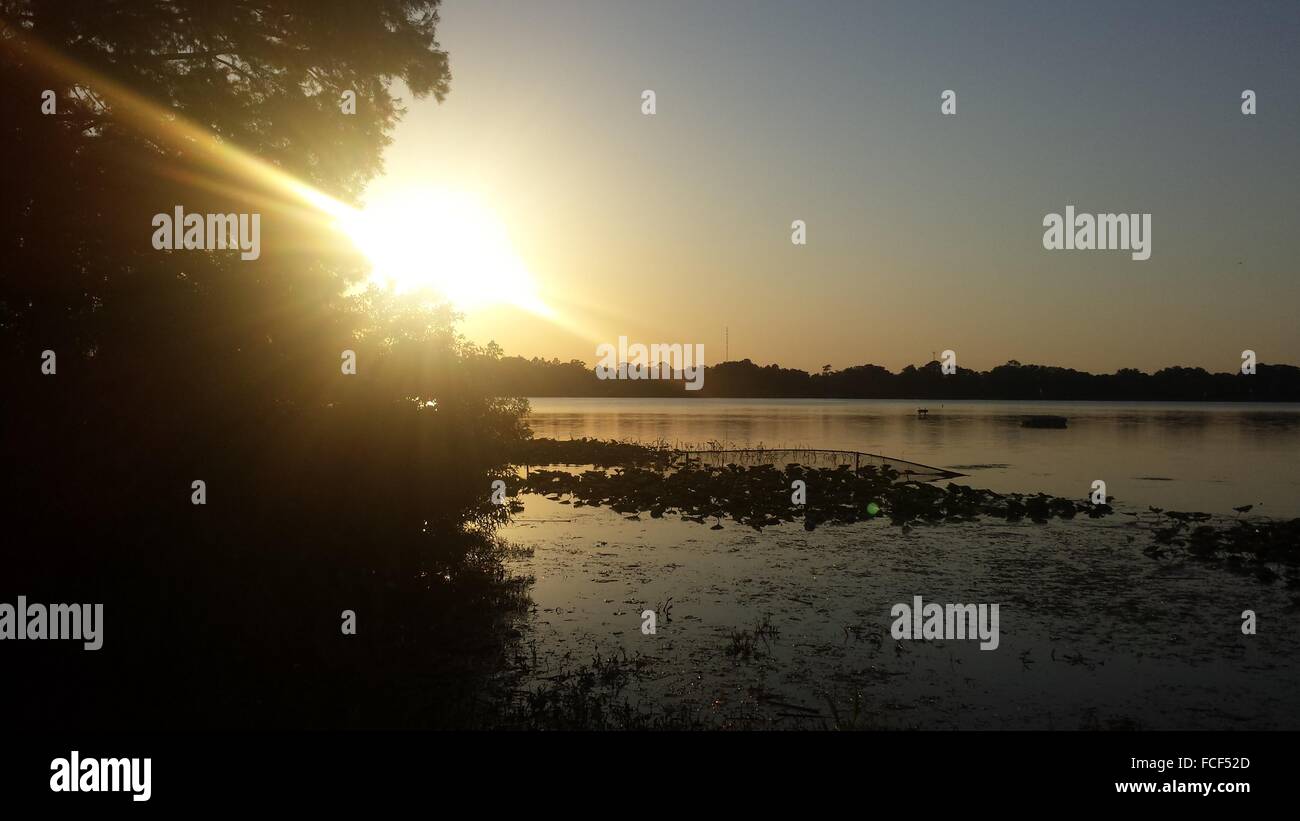 Herrliche Sicht auf Fluss gegen Bright Sun Stockfoto