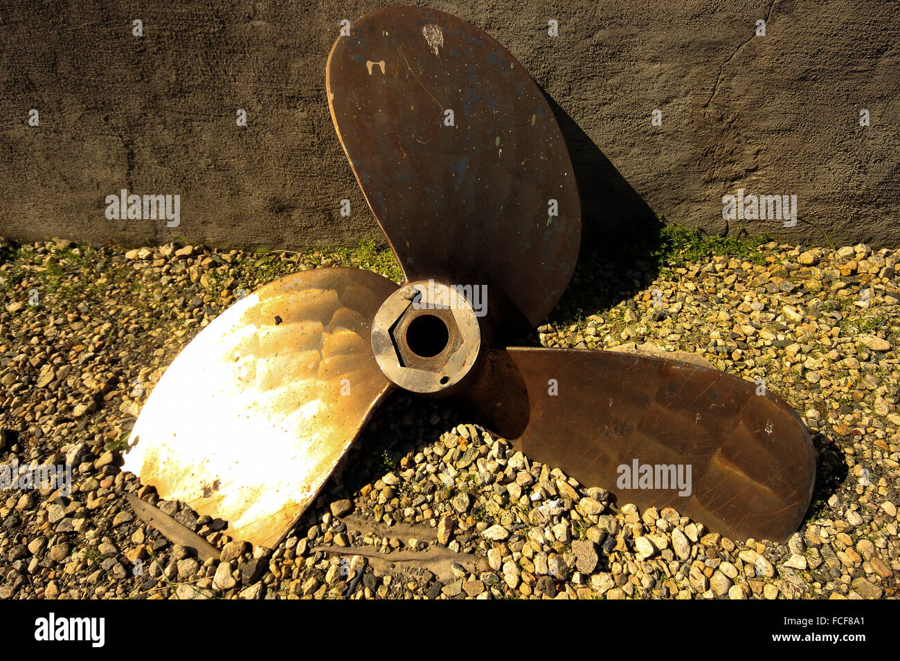 Polarmusea Fotos und Bildmaterial in hoher Auflösung Alamy