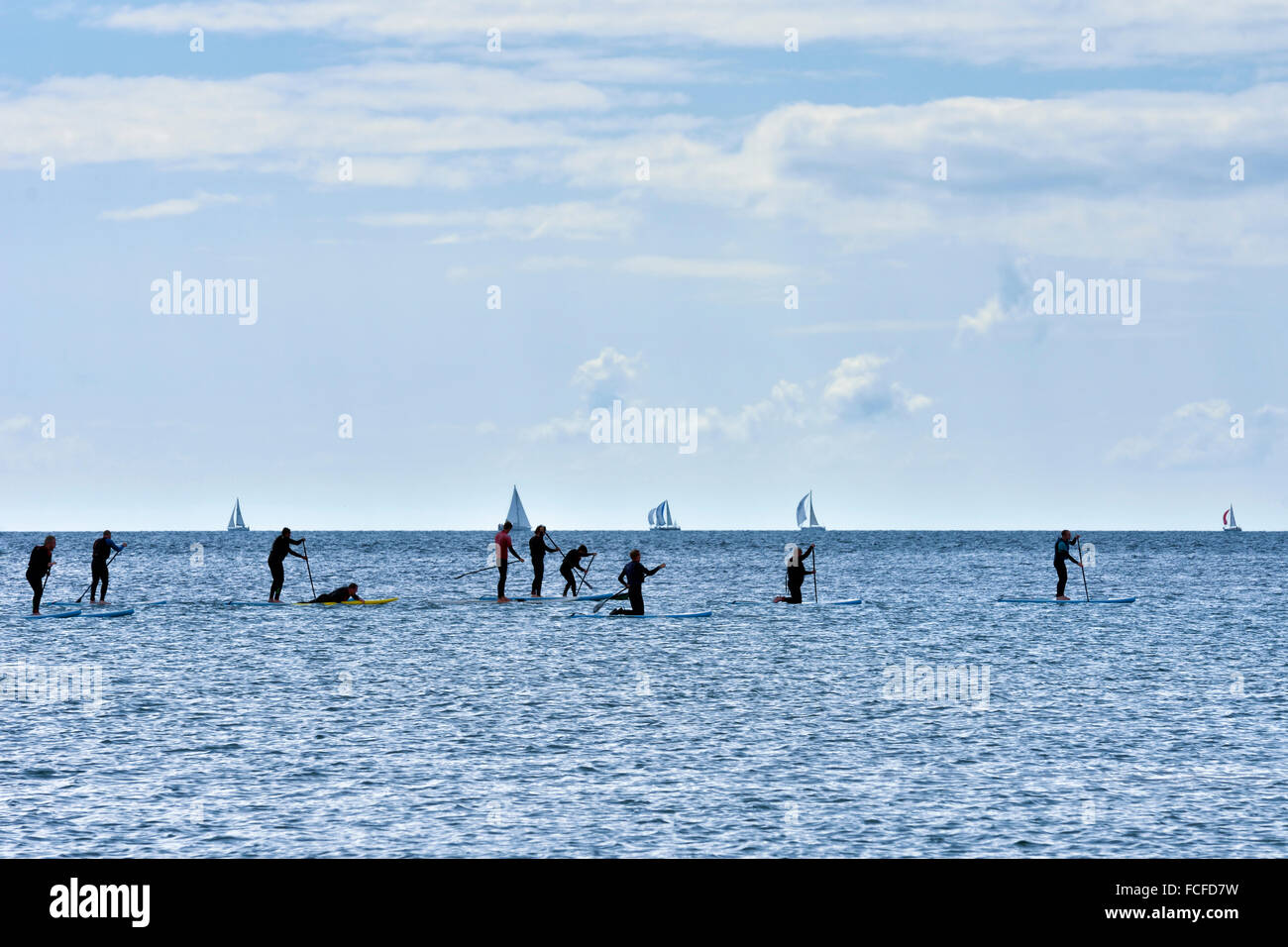 Stand up Paddling oder SUP, im Meer bei Bigbury Bay, Devon