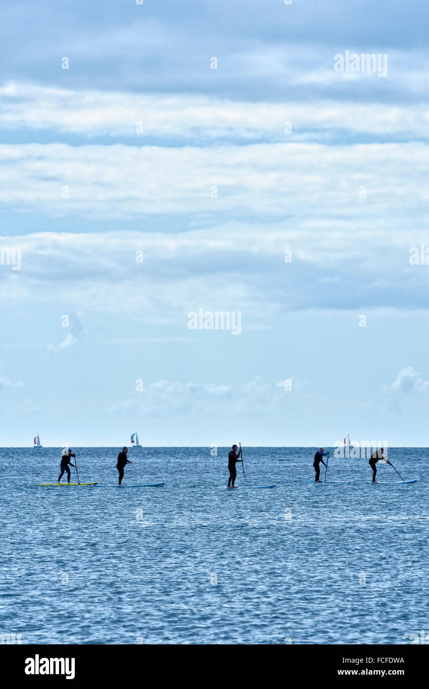 Stand up Paddling, auch genannt SUP, im Meer an der Bucht Bigbury, Devon, UK Stockfoto