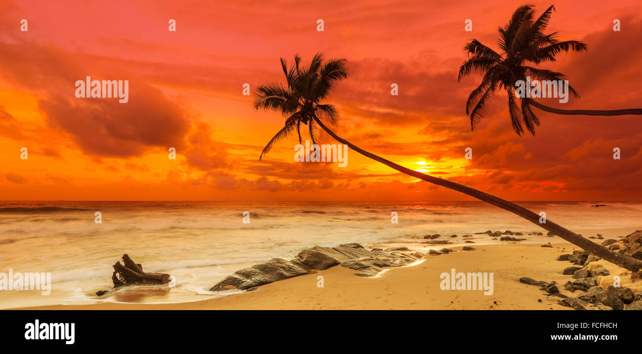 Sonnenuntergang über dem Meer. Sri Lanka Stockfoto