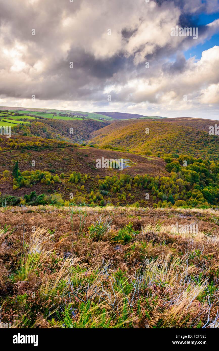 Moor von Exmoor angesehen von Ostern Hügel in der Nähe von Luccombe, Somerset, England Stockfoto
