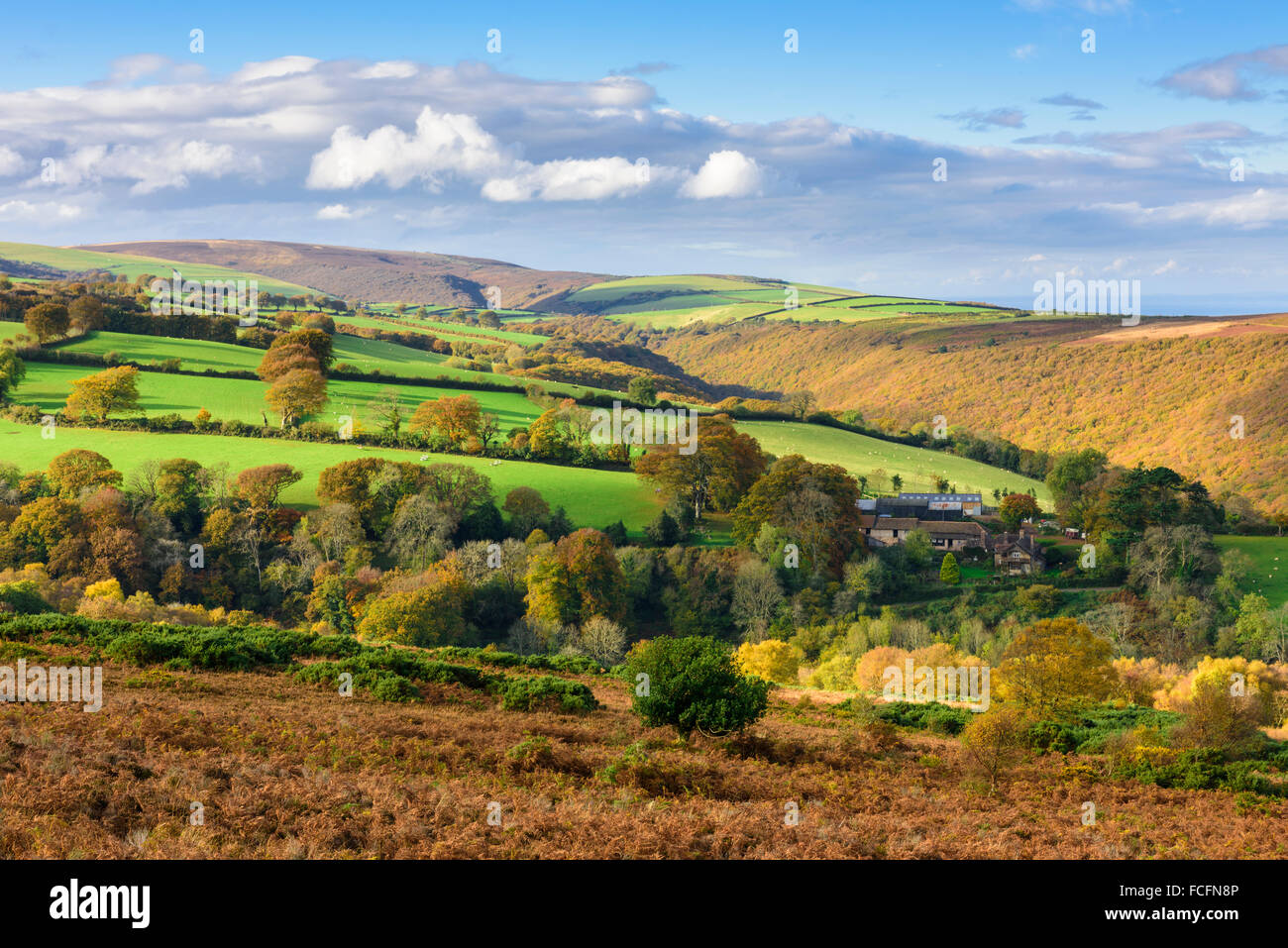 Cloutsham Hof umgeben kaufen Hügellandschaft von Dunkery Hill, Exmoor, Somerset betrachtet. Stockfoto