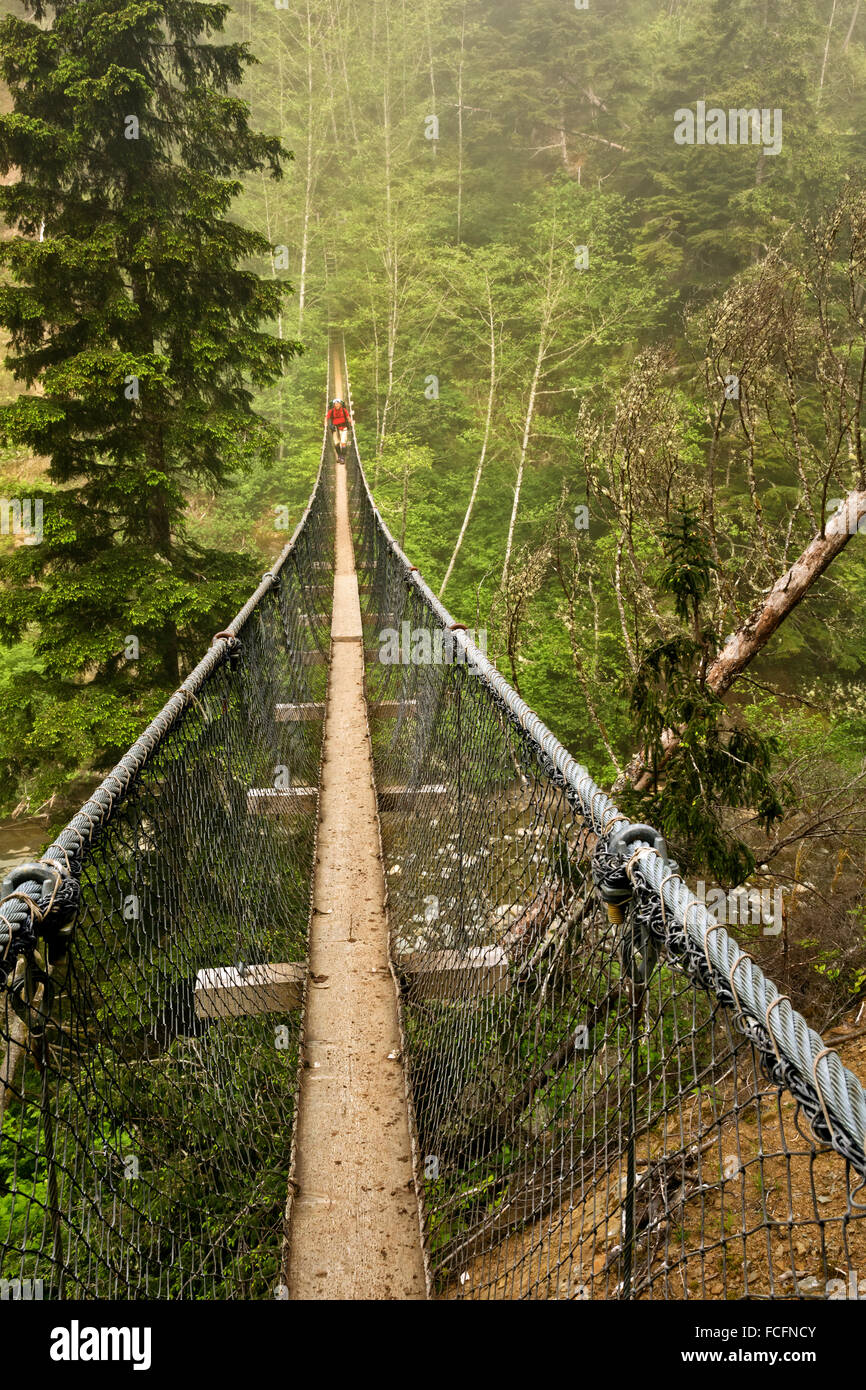 BRITISH COLUMBIA - Wanderer überqueren die Hängebrücke über den Logan Creek auf Vancouver Island an der West Coast Trail; Pacific Rim. Stockfoto