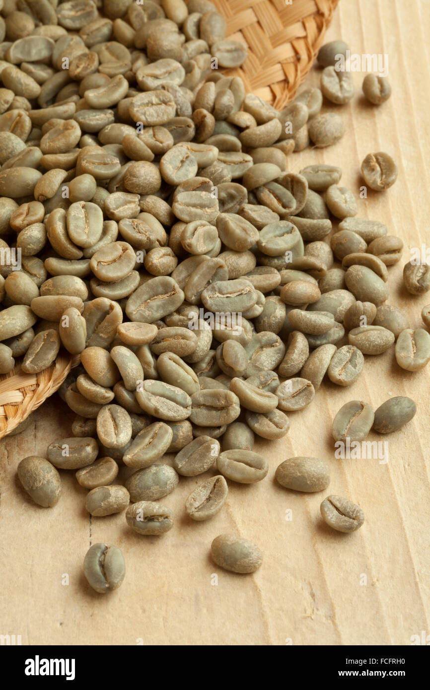 Haufen von bolivianischen Yanaloma grünen, ungerösteten Kaffeebohnen Stockfoto