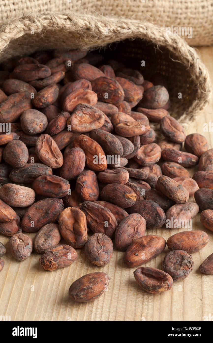 Jute-Tasche voll mit rohen Kakaobohnen Stockfoto