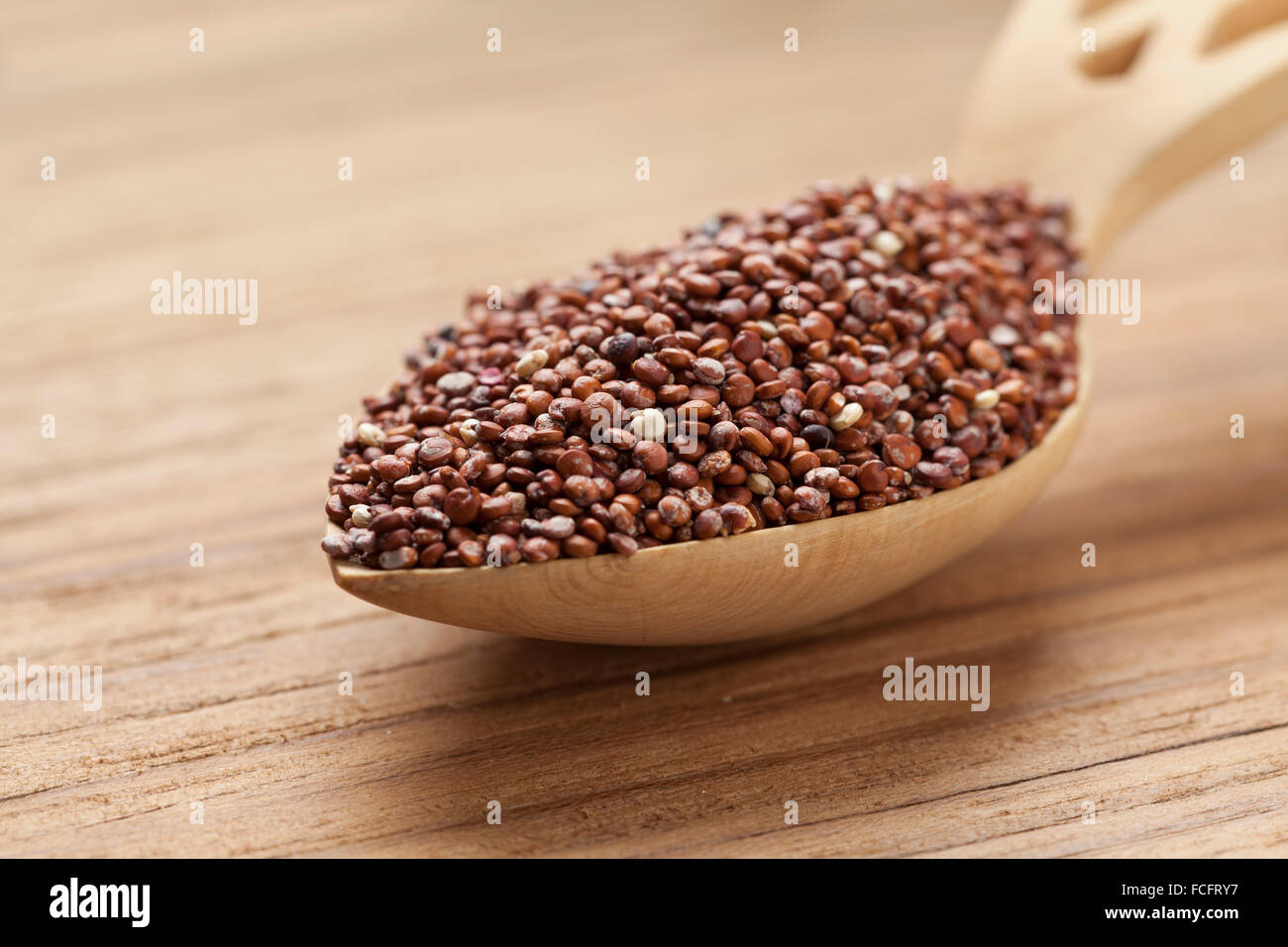 Roten rohen Quinoa-Samen auf einem Holzlöffel Stockfoto