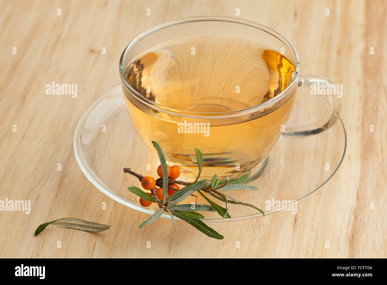 Tasse mit einem Zweig frischer gemeinsame Sanddorn Meer Sanddorn Tee Stockfoto