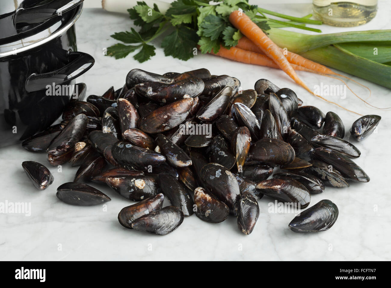 Frische ungekochte gemeinsame Muscheln in der Schale Stockfoto