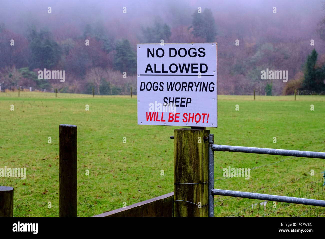 Keine Hunde erlaubt Warnschild Bauernhof Landwirtschaft Großbritannien Stockfoto