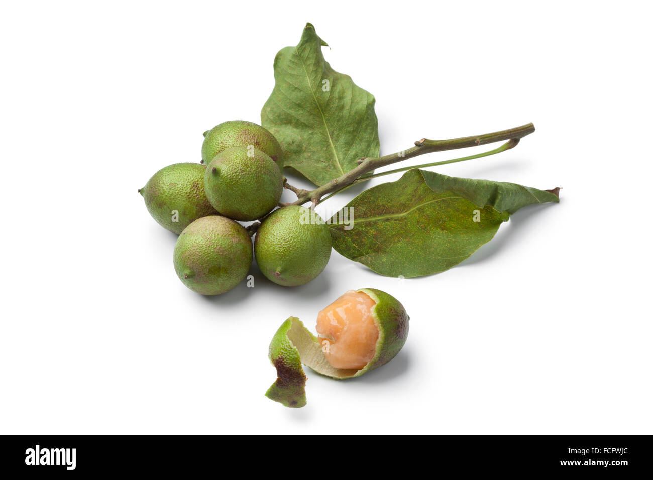 Frisch Quenepa Obst mit Blätter auf weißem Hintergrund Stockfoto
