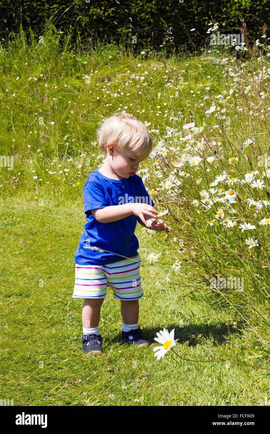 Kleiner Junge spielt in einem Feld von Blumen Stockfoto