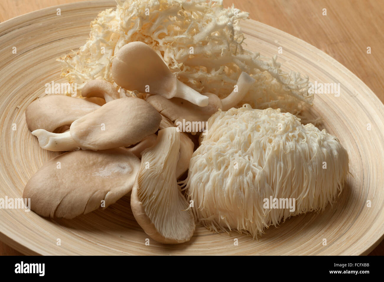 Schüssel mit frischen Coral Pilz, des Löwen Mähne Pilzen und Austernpilzen Stockfoto