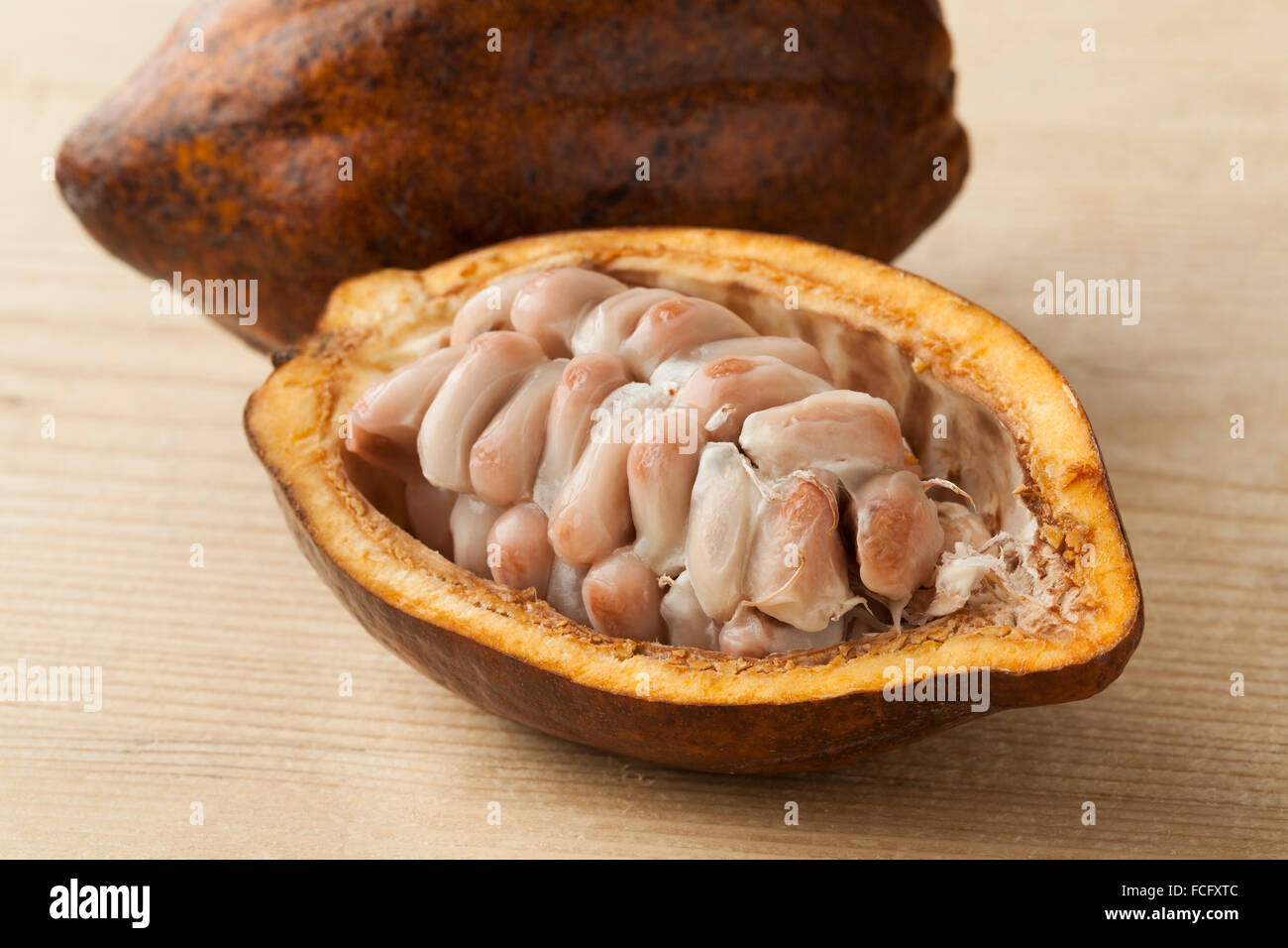 Kakao-Früchte und rohe Cocoa Bohnen in der Schote hautnah Stockfoto