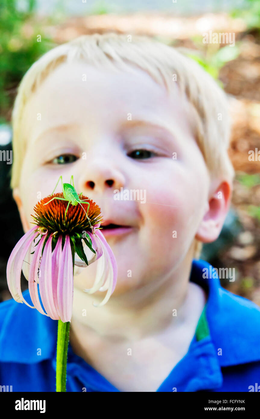 Kind anstarrt Heuschrecke Heuschrecke auf Sonnenhut Stockfoto