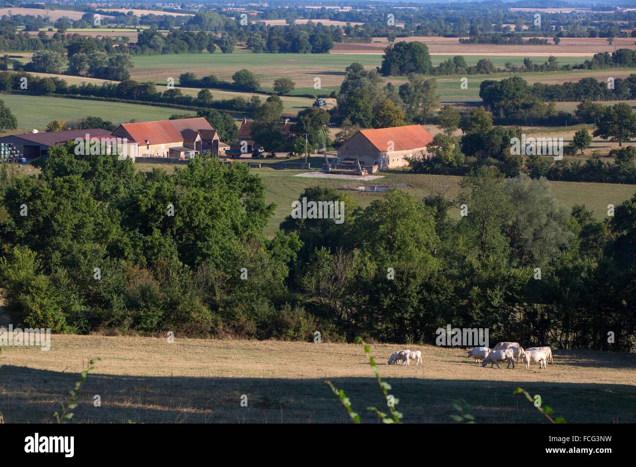 BERRY, GEORGE SAND BLACK VALLEY Stockfoto