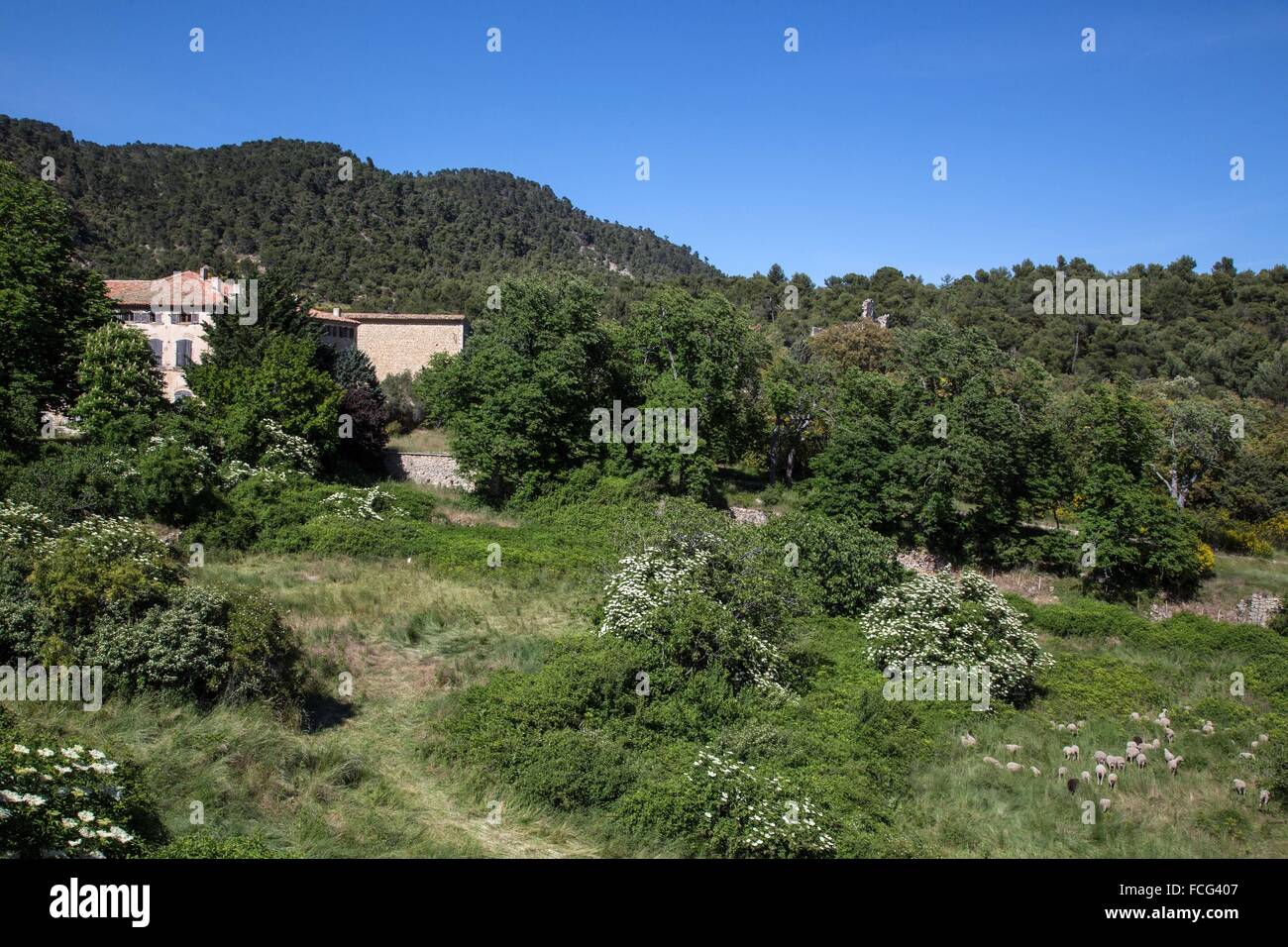 REGIONALER NATURPARK DES LUBERON, VAUCLUSE, FRANKREICH Stockfoto