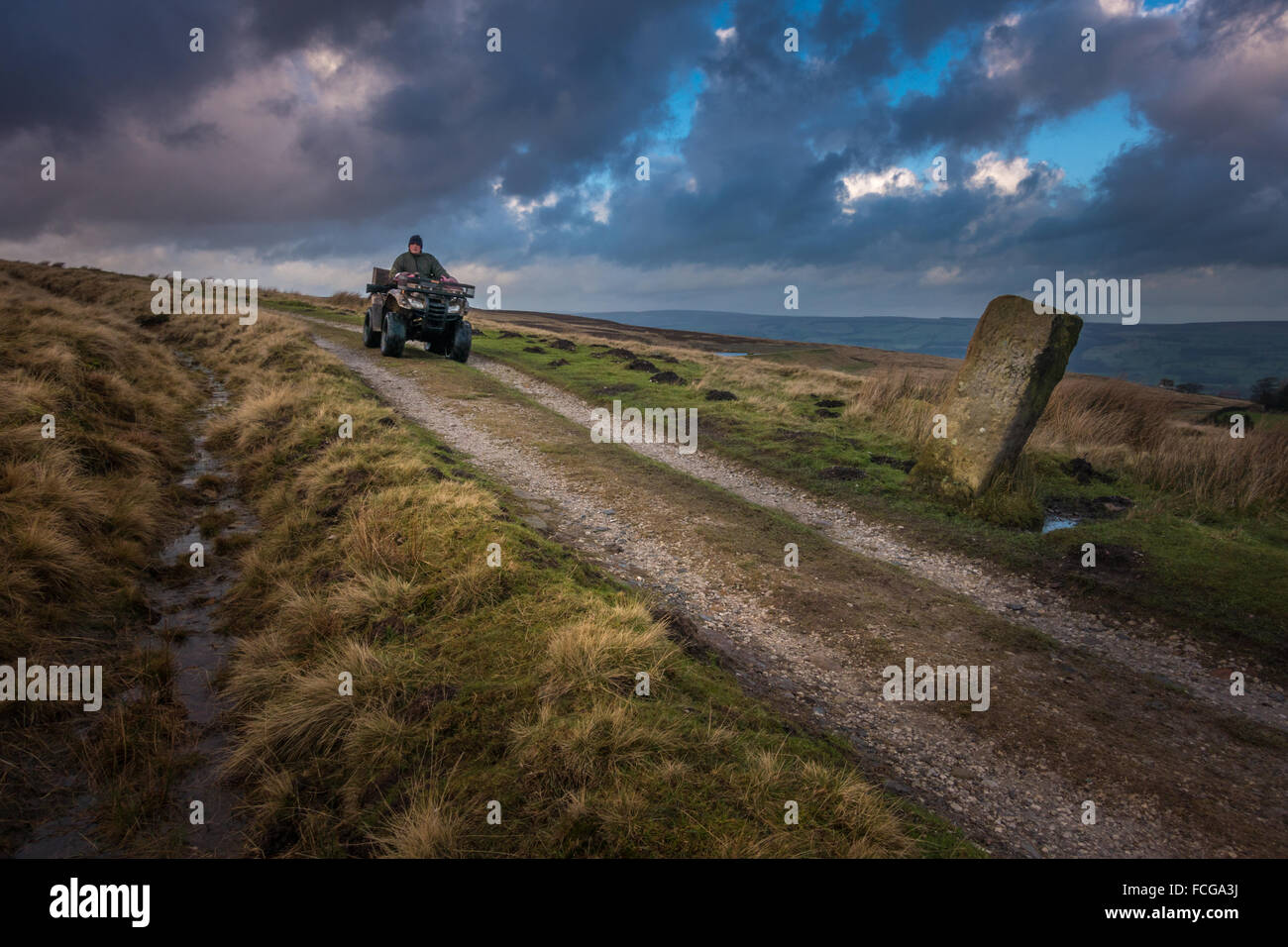 Wildhüter auf einem Quadbike absteigend einen Track aus Burley Moor. Stockfoto