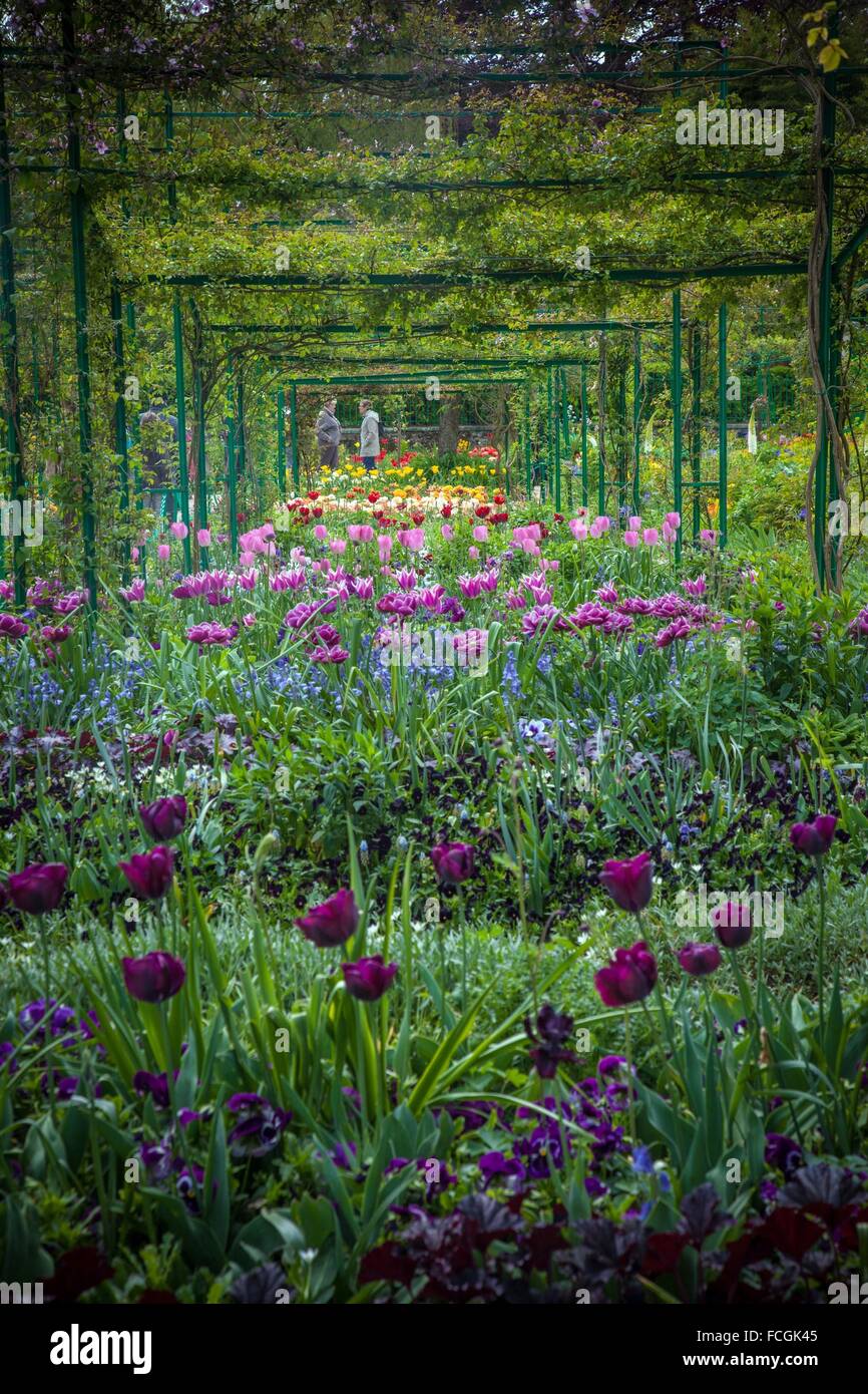 DIE CLAUDE MONETS GARTEN IN GIVERNY, NORMANDIE, FRANKREICH Stockfoto