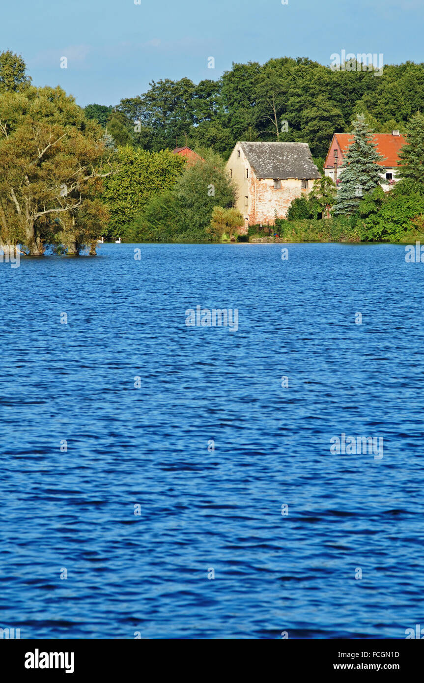 Landschaft mit blauen Oberfläche auf den Teich, der altes Teichhaus und Bäume in der Ferne Schwäne Stockfoto