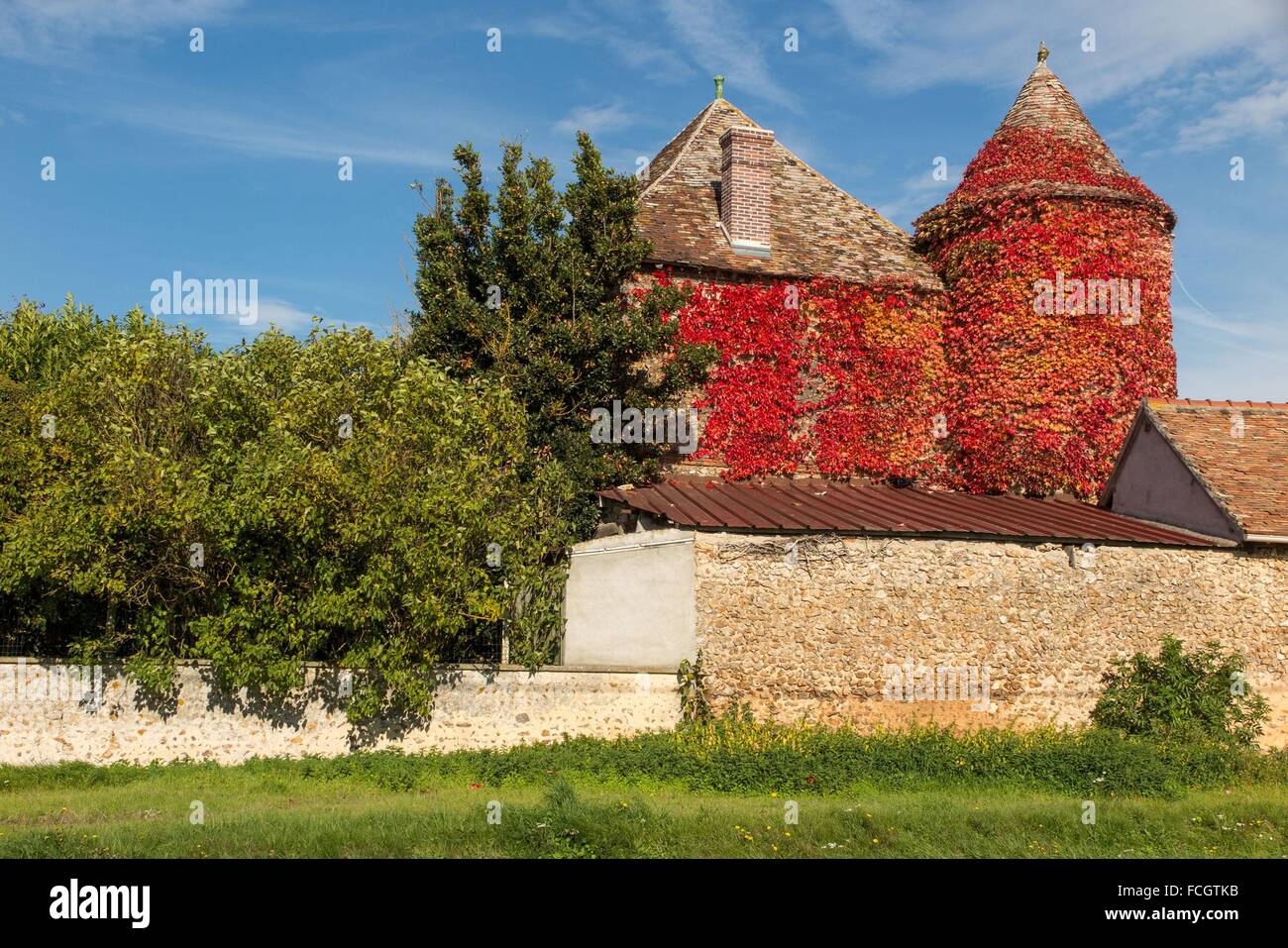 LANDWIRTSCHAFTLICHES GEBÄUDE BEDECKT IN WILDEM WEIN IN HERBSTFARBEN, FRANKREICH Stockfoto