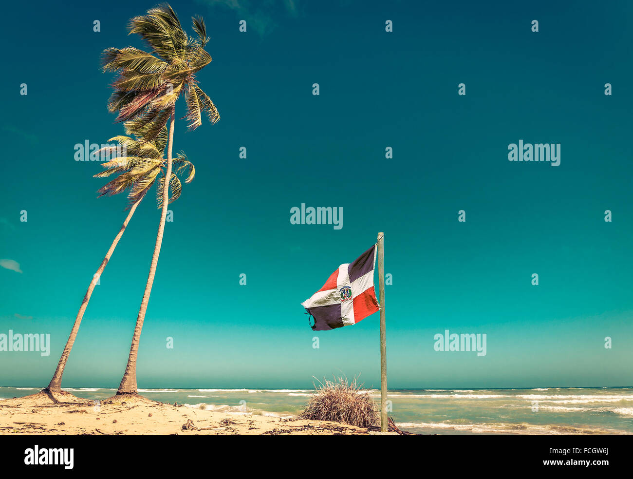 Sandstrand, Palme und Dominikanische Republik Flagge Stockfoto
