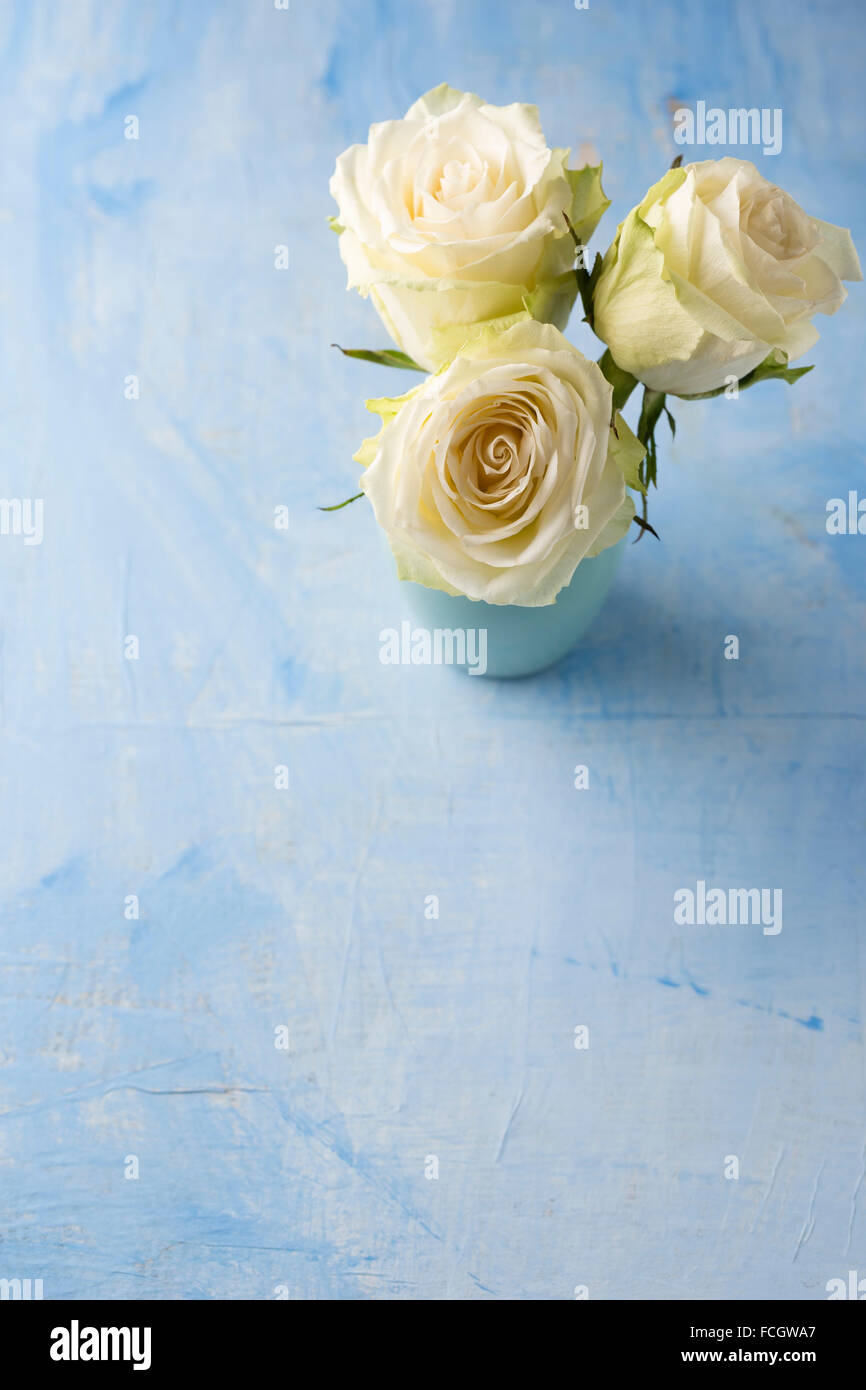 Drei weiße Rosen in einer Blumenvase auf Licht blau Boden Stockfoto