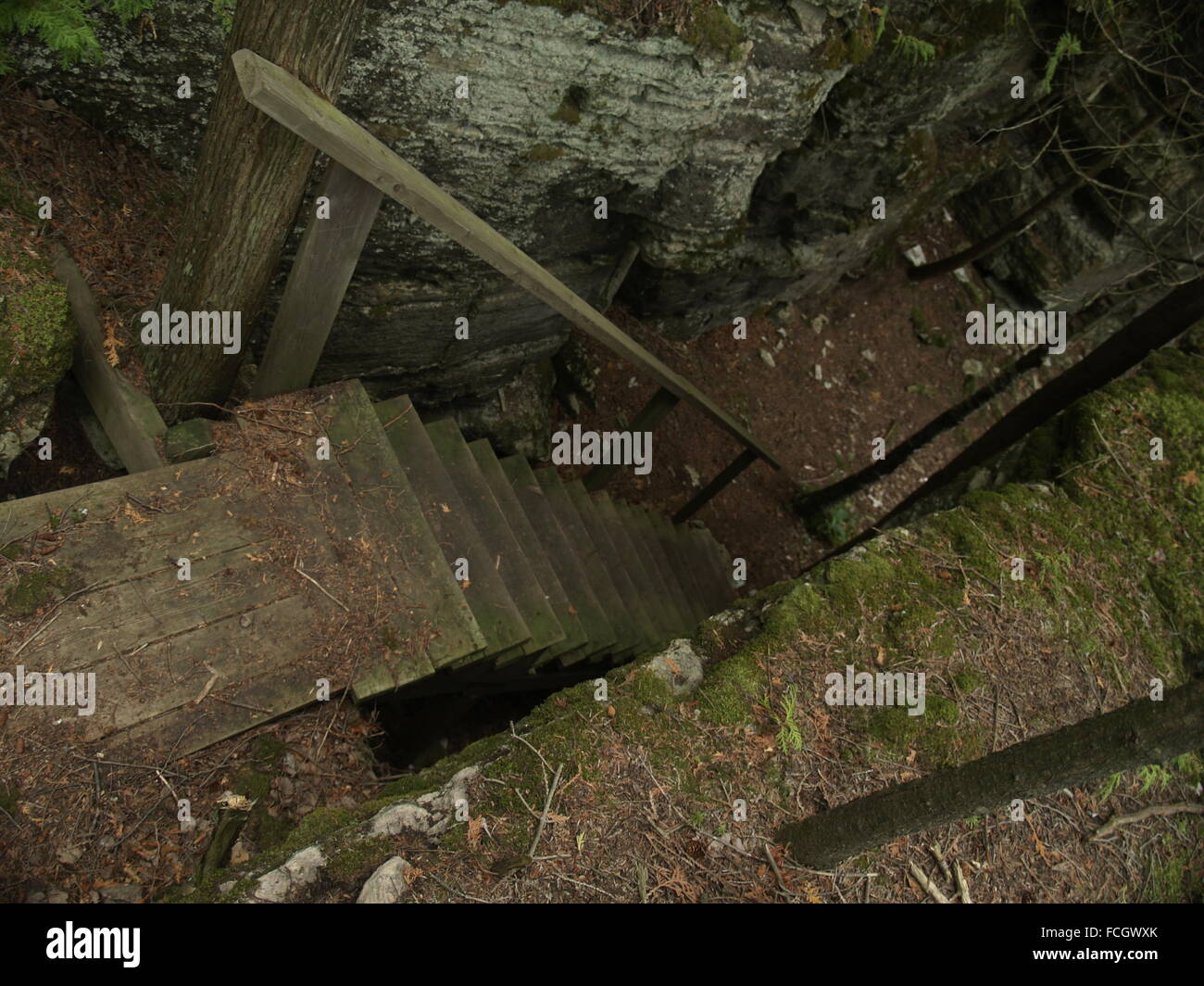 Holztreppe mit großen Felsen Mauer umgeben von Moos entlang Wanderweg auf Manitoulin Island in Ontario, Kanada. Stockfoto