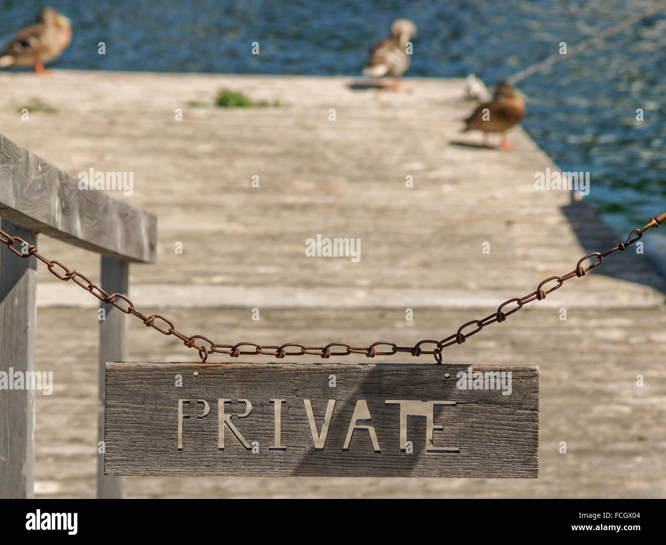 Privates Schild hängen an einer rostigen Kette blockiert ein Dock mit drei verschwommene Enten drauf. Stockfoto