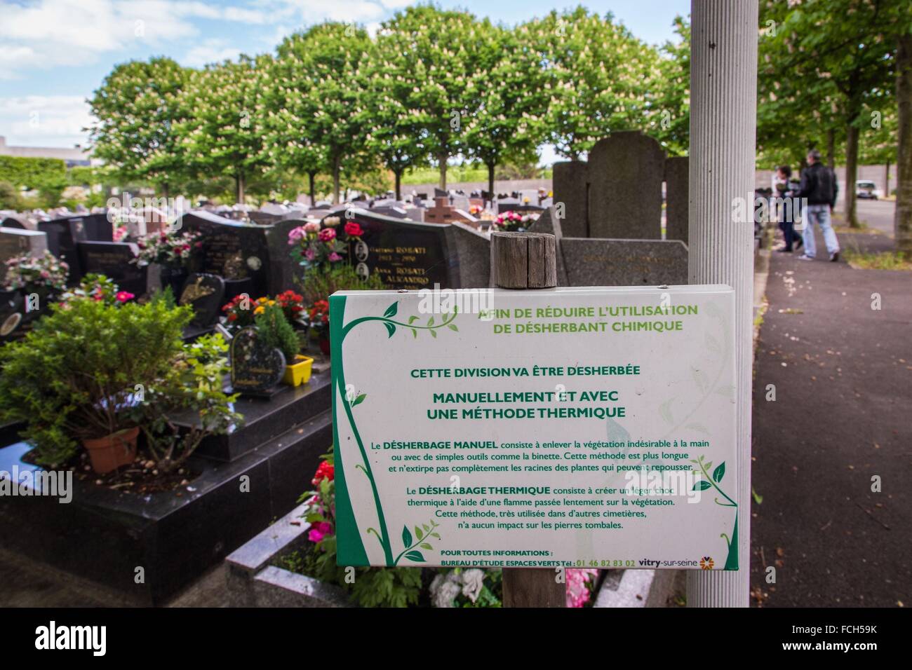 PARKPFLEGE OHNE CHEMISCHE UNKRAUTVERNICHTER, VITRY-SUR-SEINE, (94) VAL-DE-MARNE, ILE DE FRANCE, FRANKREICH Stockfoto