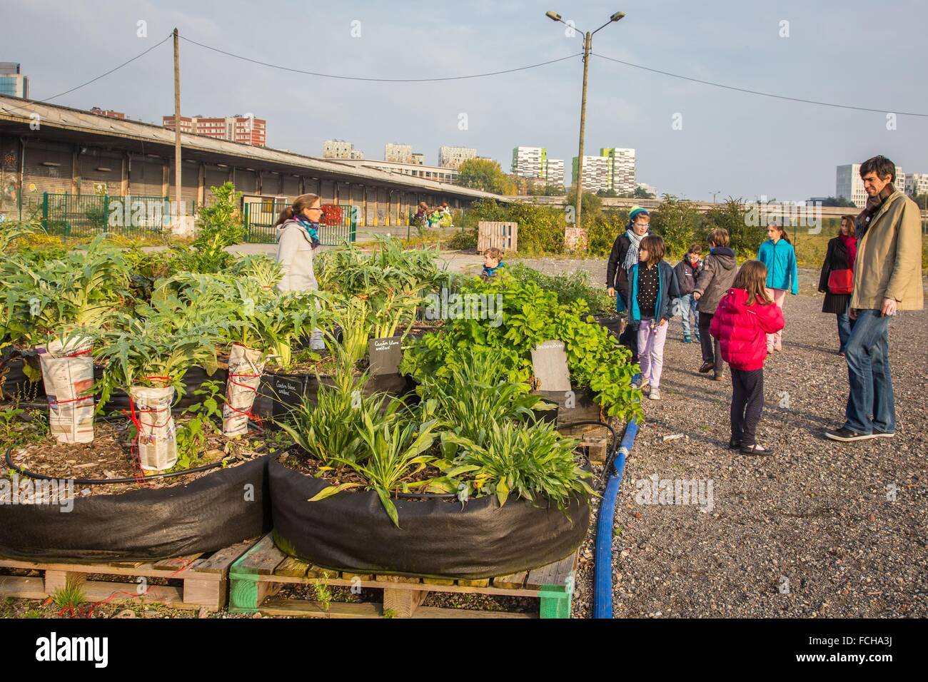 URBAN FARM, LILLE, NORD PAS DE CALAIS, FRANKREICH (59) NORD Stockfoto