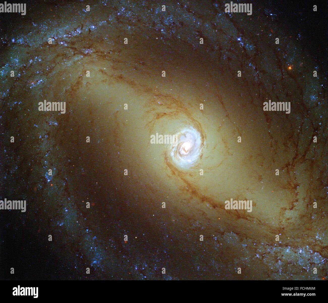 Diese Ansicht, aufgenommen von der NASA/ESA Hubble Space Telescope, zeigt eine nahegelegene Spiralgalaxie bekannt als NGC 1433. Bei etwa 32 Millionen Stockfoto
