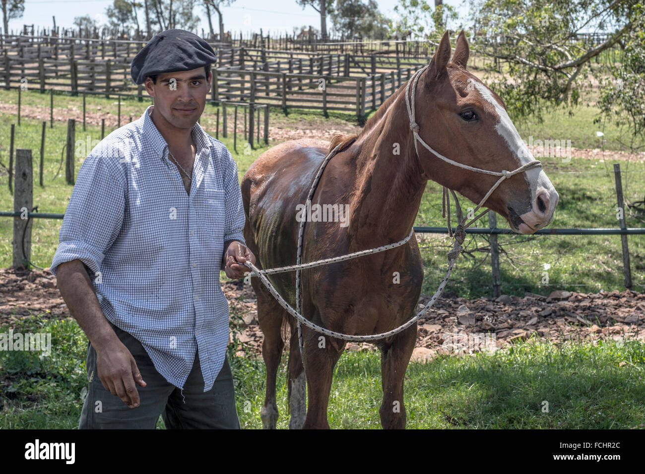 TACUAREMBO, URUGUAY - 25. Oktober 2012: Gaucho kümmert sein Pferd auf dem Campo. Gaucho ist ein Bewohner der südamerikanischen Stockfoto