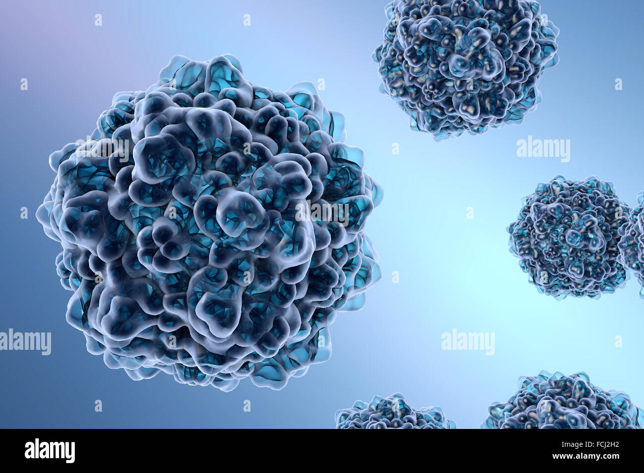 Erythema infectiosum Fotos und Bildmaterial in hoher Auflösung Alamy