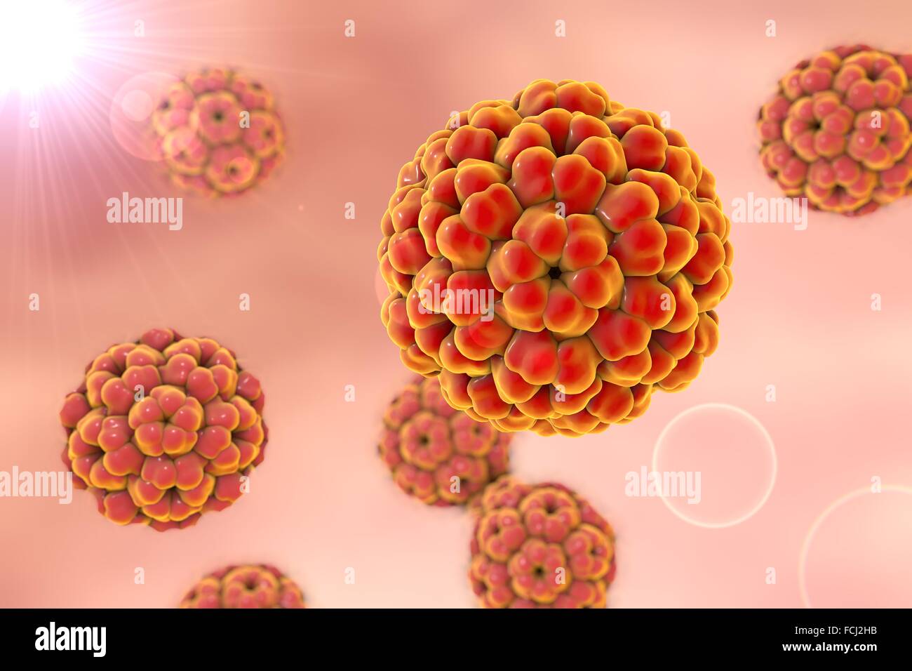 Brome-Mosaik-Virus, Abbildung. Stockfoto