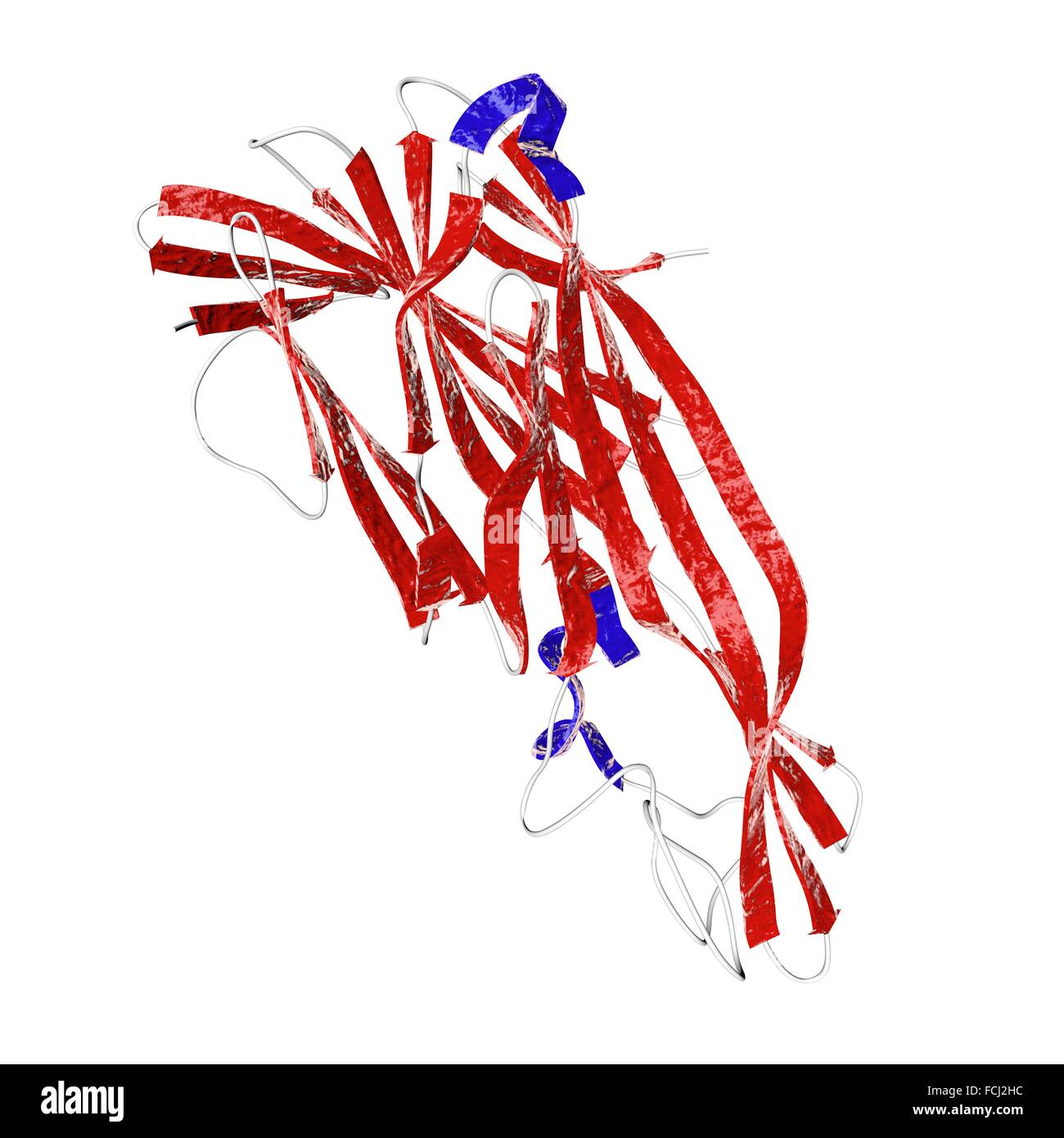 Molekulare Struktur der Delta Toxin produziert durch Bakterium Clostridium Perfringens die Vogelgrippe nekrotische Enteritis, anaerobe Wundinfektionen, Gasbrand und Lebensmittelvergiftung verursacht. Stockfoto