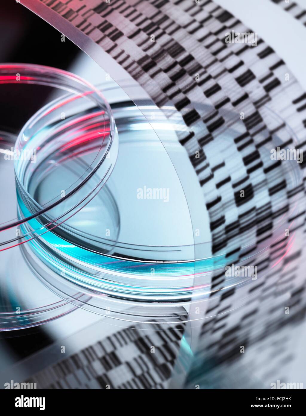 EIGENTUM FREIGEGEBEN. Genetische Forschung. DNA (Desoxyribonukleinsäure) Autoradiogram mit einer Probe in einer Petrischale, illustriert gen zu bearbeiten. Stockfoto