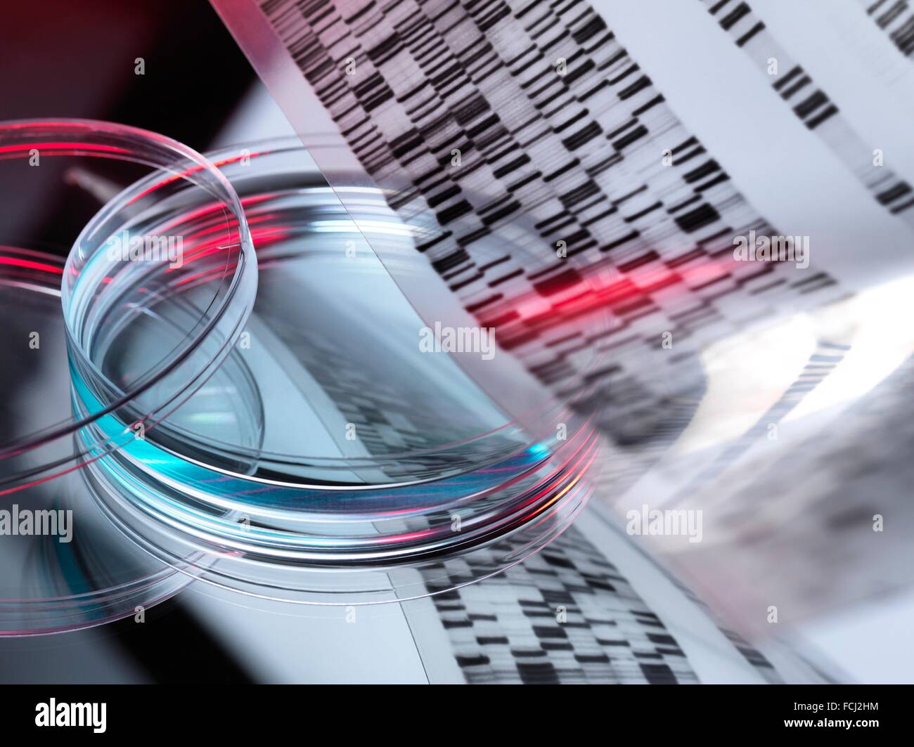 EIGENTUM FREIGEGEBEN. Genetische Forschung. DNA (Desoxyribonukleinsäure) Autoradiogram mit einer Probe in einer Petrischale, illustriert gen zu bearbeiten. Stockfoto