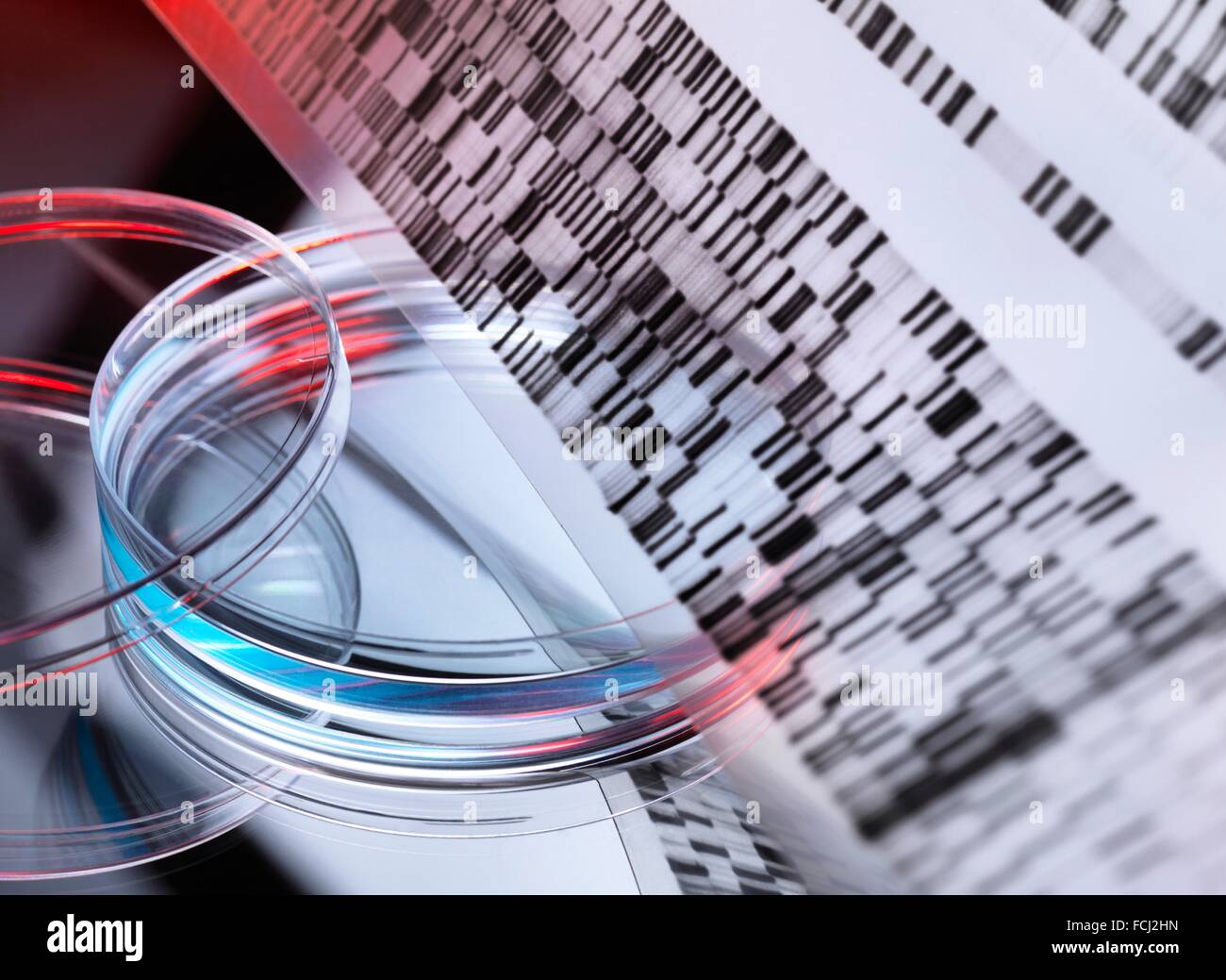 EIGENTUM FREIGEGEBEN. Genetische Forschung. DNA (Desoxyribonukleinsäure) Autoradiogram mit einer Probe in einer Petrischale, illustriert gen zu bearbeiten. Stockfoto
