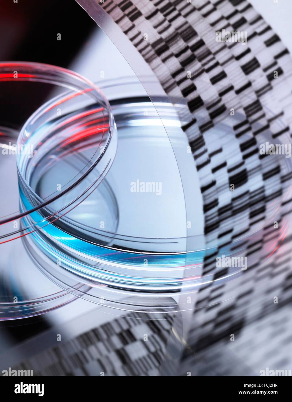 EIGENTUM FREIGEGEBEN. Genetische Forschung. DNA (Desoxyribonukleinsäure) Autoradiogram mit einer Probe in einer Petrischale, illustriert gen zu bearbeiten. Stockfoto