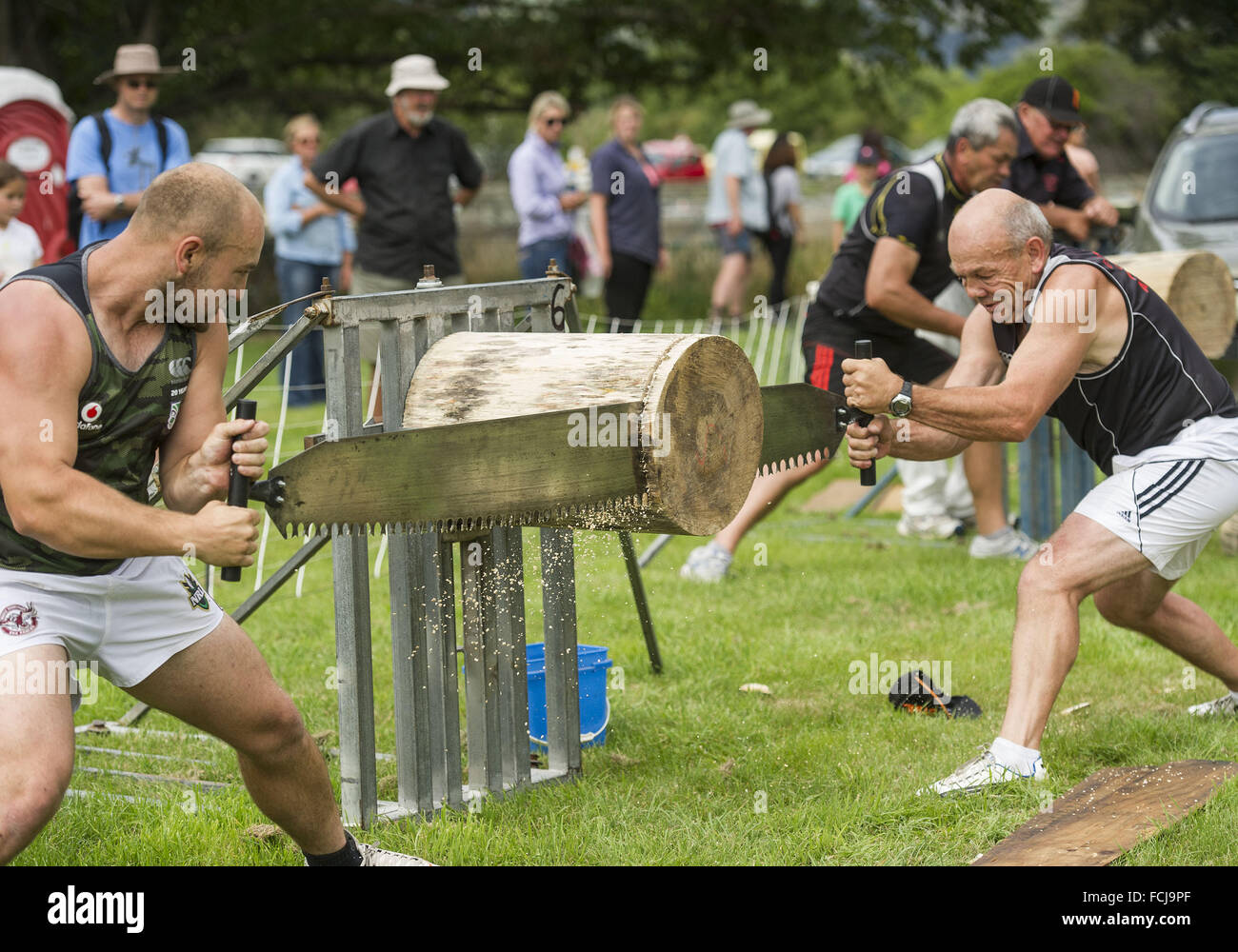 Little River, Canterbury, Neuseeland. 23. Januar 2016. Veranstaltungen auf dem Display an die Banken Halbinsel A & P (Land- und pastorale) Show am Flüsschen gehörten Woodchopping und Log zu sägen. Die Show bietet Reit- und Vieh Veranstaltungen, Woodchopping Wettbewerbe, ein Streichelzoo, ein Schaufenster der Vintage Maschinen und Displays von preisgekrönten Fotografie, Wolle, Kunsthandwerk, Backen und Marmelade, Blumen und Obst und Gemüse. © PJ Heller/ZUMA Draht/Alamy Live-Nachrichten Stockfoto