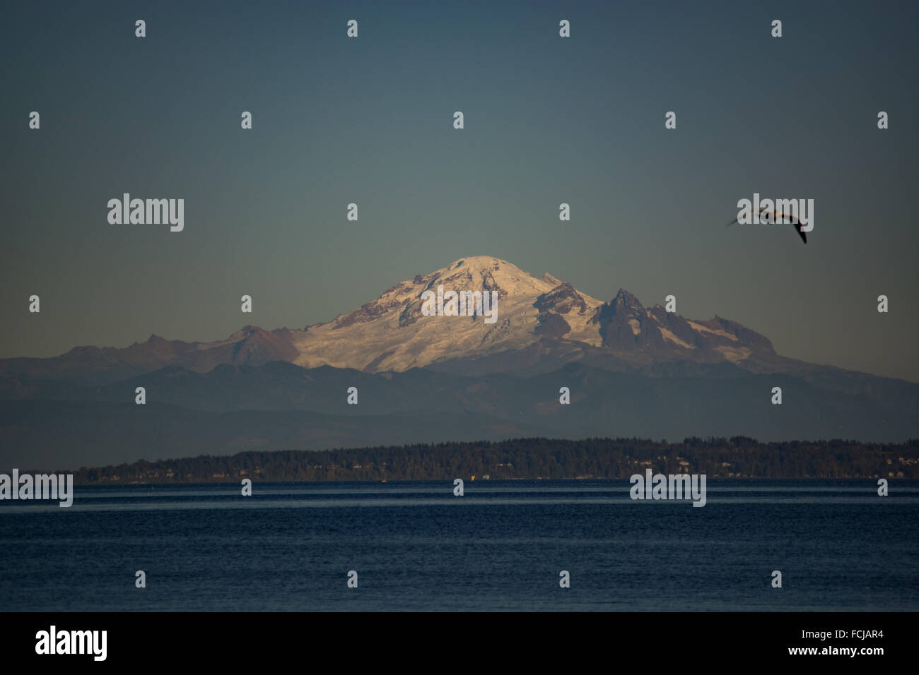 Mount Baker, wie von Centennial Strand British Columbia zu sehen. Stockfoto