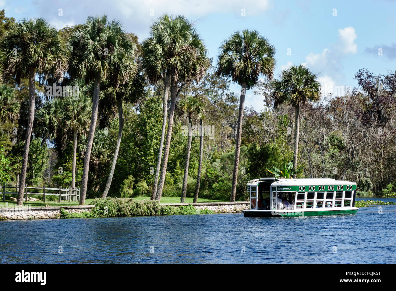 Silver Springs Florida, State Park, Silver River Water, Glasbodenboot, Chief Micanopy, Natur, natürliche Landschaft, Wasser, Palmen, Besucher reisen tr Stockfoto