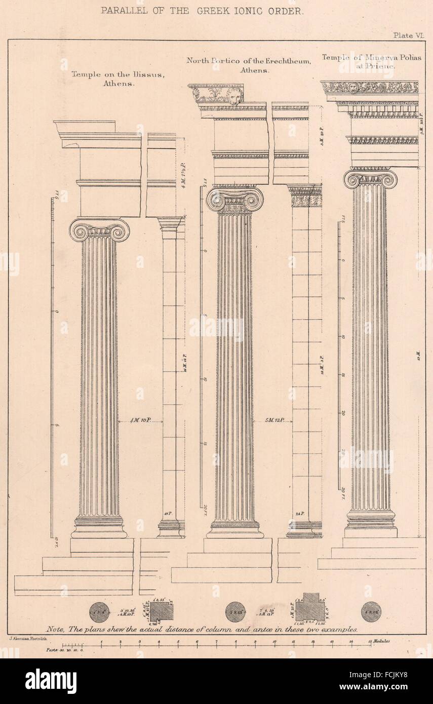 KLASSISCHE Architektur: Parallel von der griechischen ionischen Ordnung, antiken Druck 1902 Stockfoto