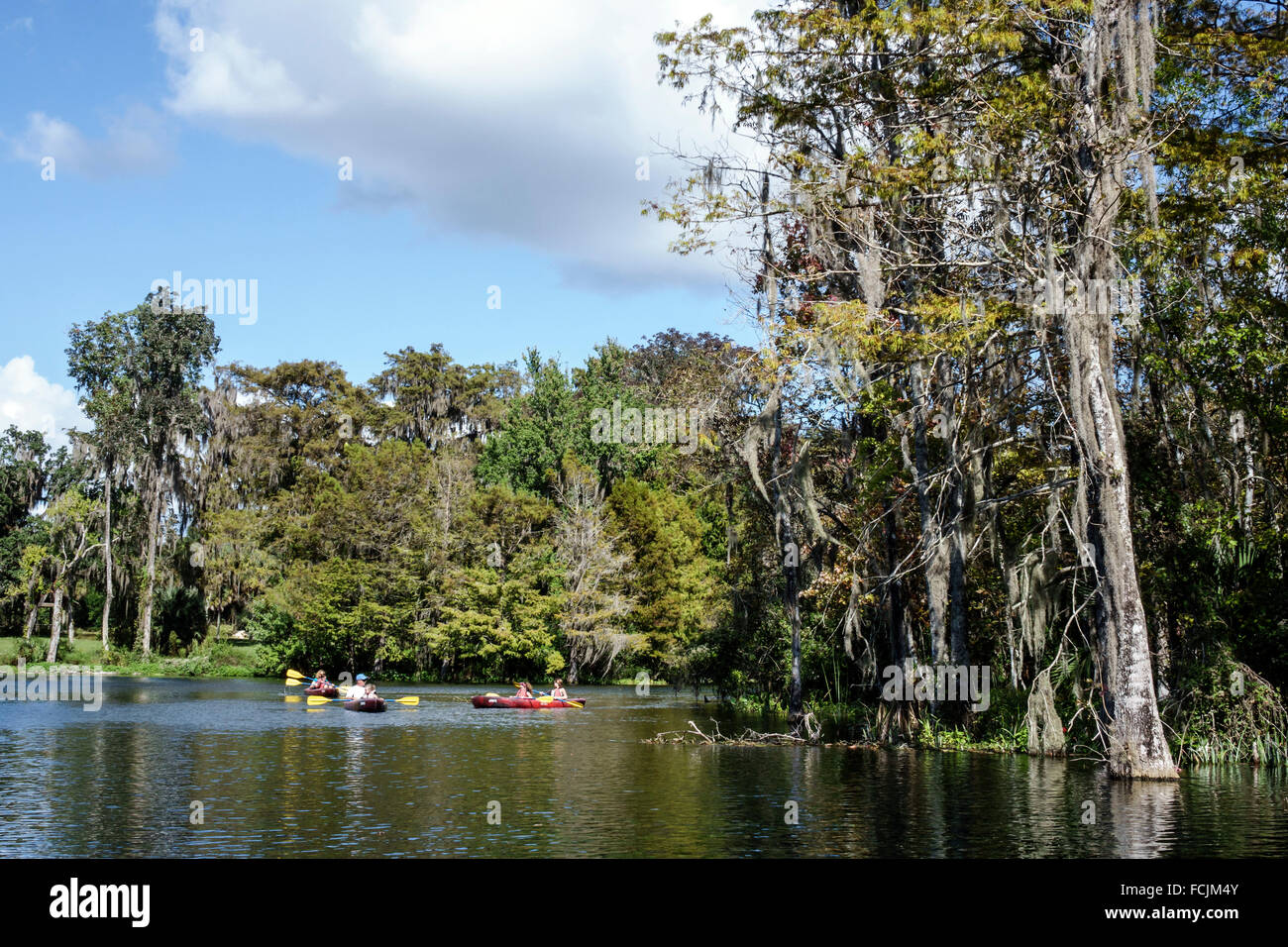 Silver Springs Florida, State Park, Silver River Water, Natur, natürliche Landschaft, Wasser, spanisches Moos, Kajakfahrer, Paddeln, Kajaks, Besucher reisen in Stockfoto